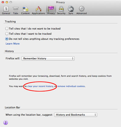 How to clear the browser cache